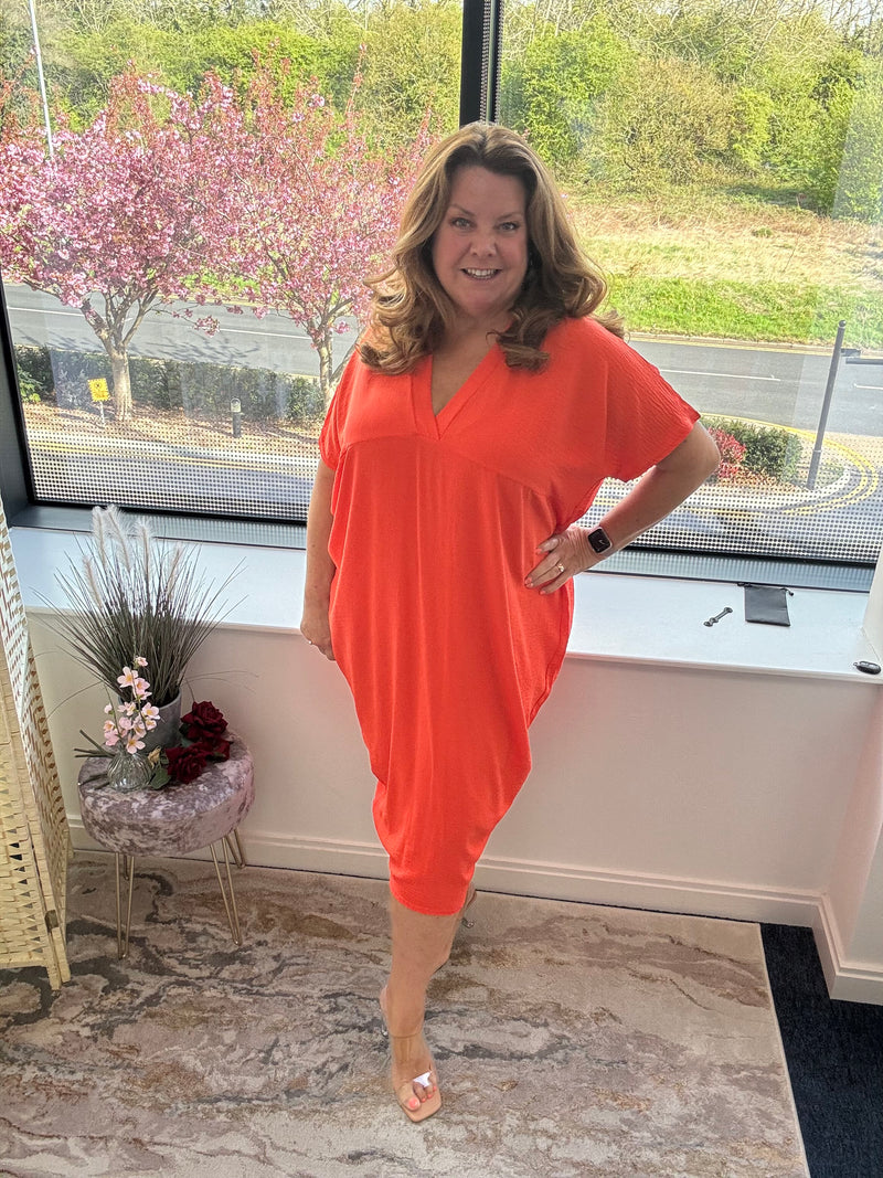 Nicole shift dress